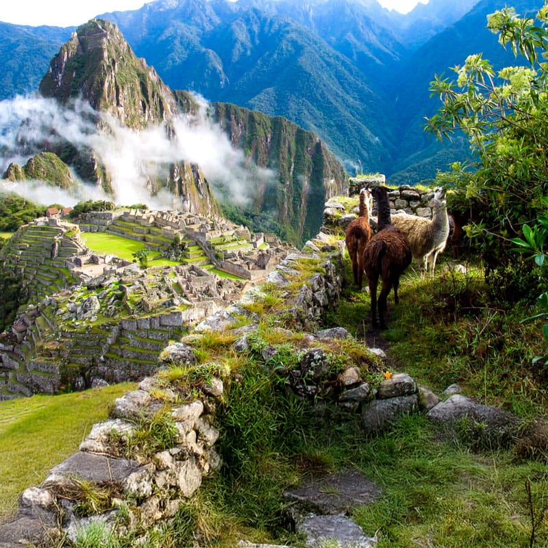 machu-picchu-dia-completo-viajes-peru-trips